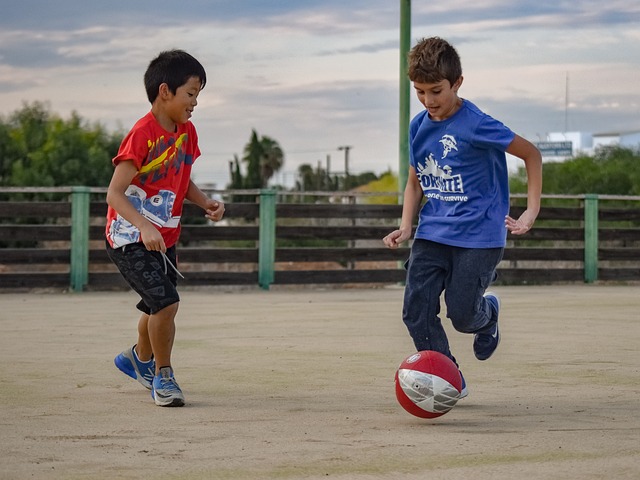 稳健的战术 稳健的战术