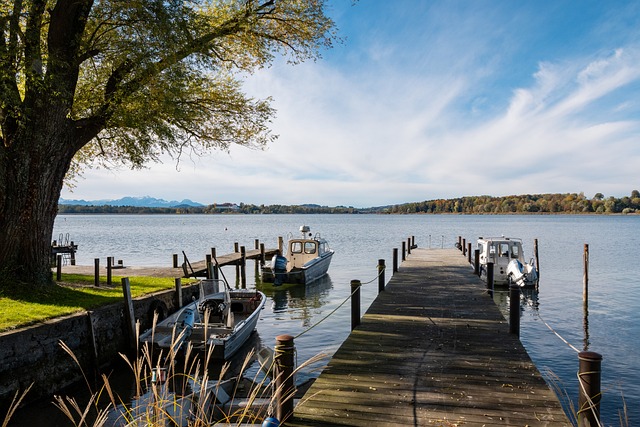 时候总能挺 时候总能挺