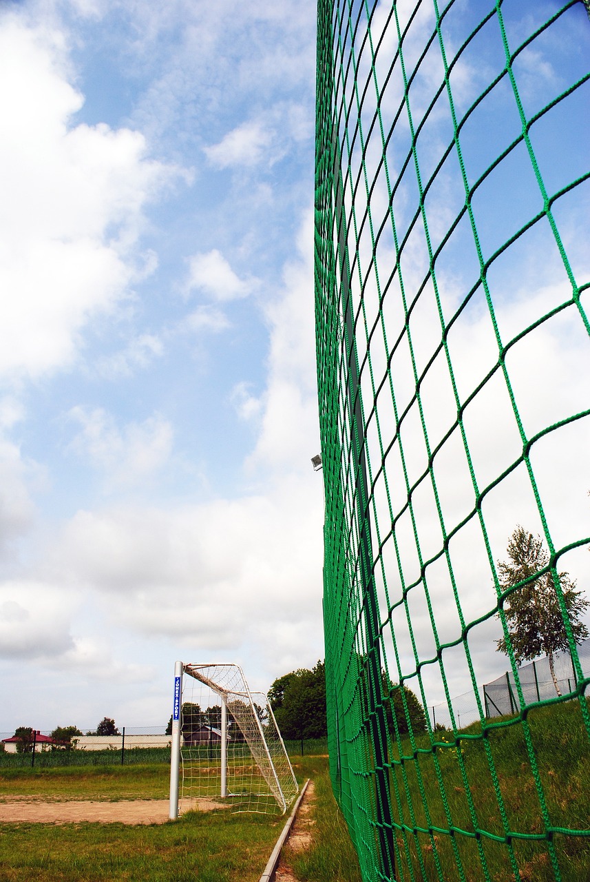 的重要组成 的重要组成