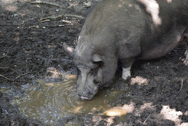 价值提升的 价值提升的
