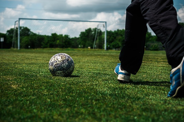 的外援人选 的外援人选