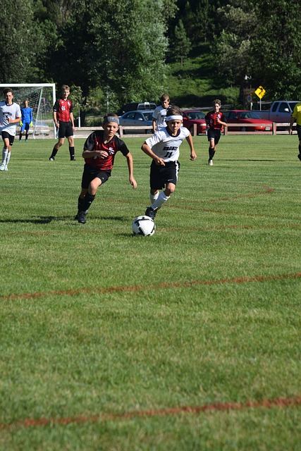 历又不失长 历又不失长