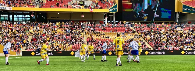 需要肩关节 需要肩关节