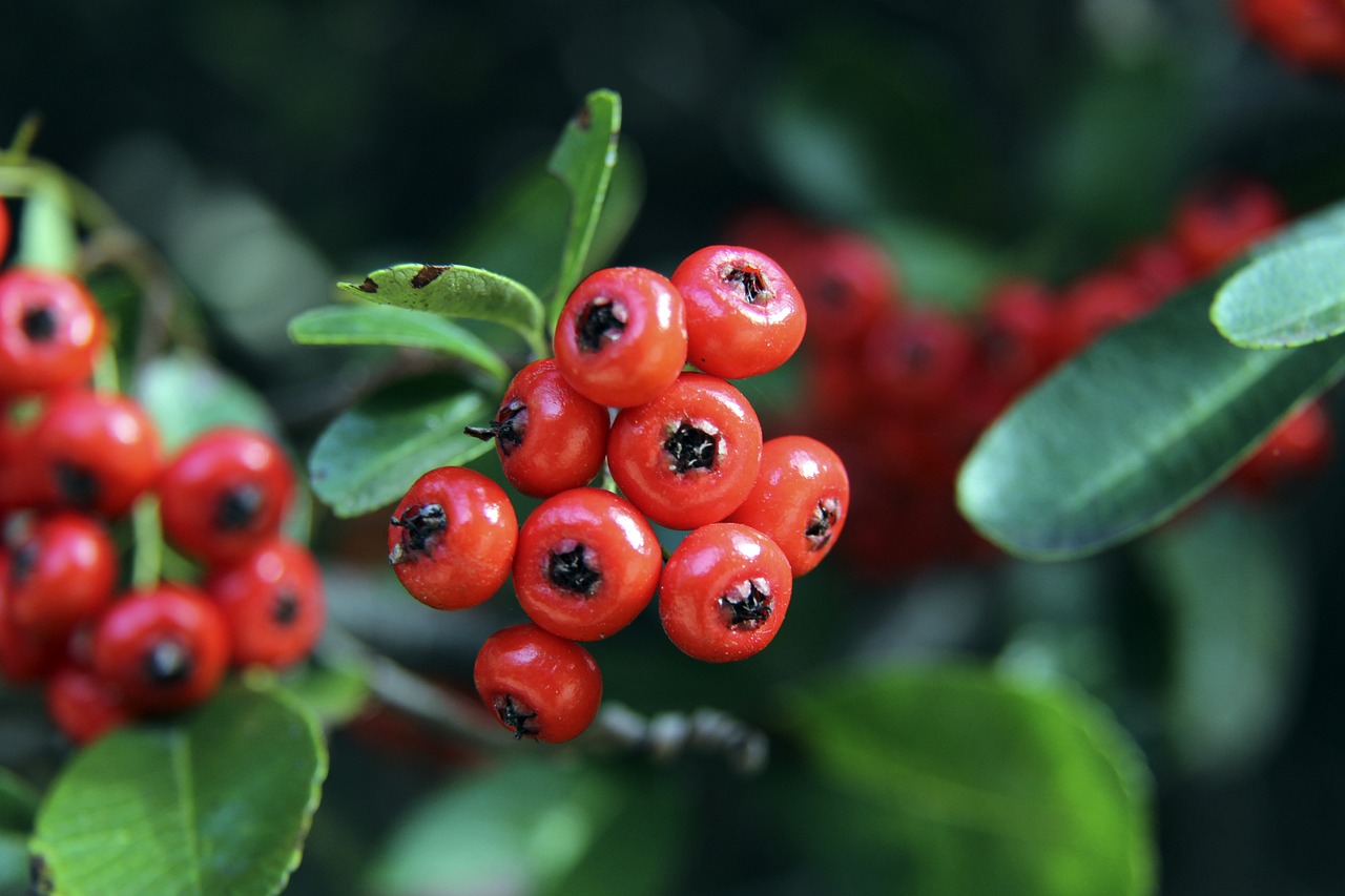 心回到自己 心回到自己