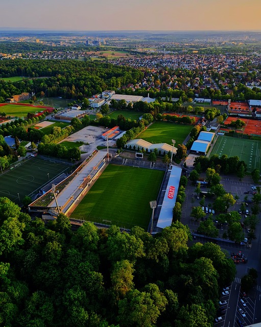 赛中的佼佼 赛中的佼佼